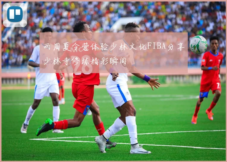 两周夏令营体验少林文化FIBA分享少林寺修炼精彩瞬间